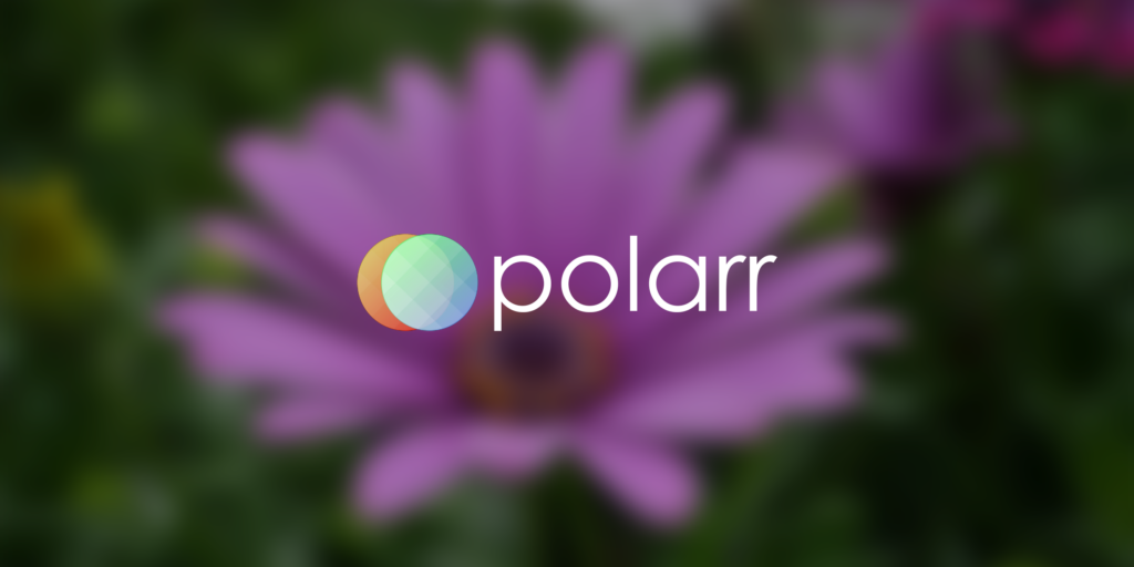 Conclusion - Polarr Download